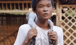 阳弟直播爆料最新消息,揭秘行业动态，热点事件一网打尽